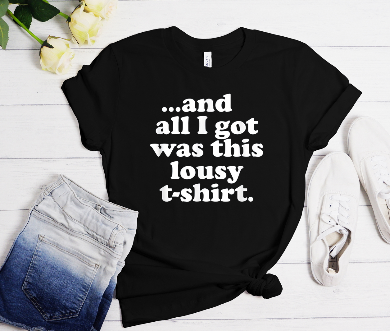 All I Got Was This Lousy T-Shirt Funny Gift Tee T-shirt